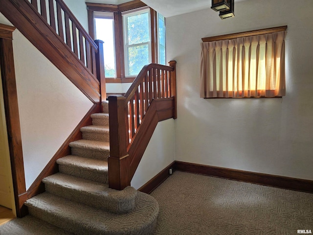 stairway featuring carpet