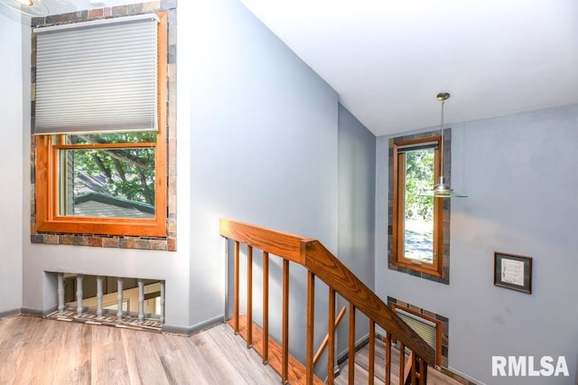 stairway featuring wood-type flooring