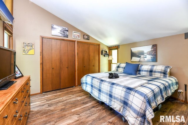 bedroom featuring wood-type flooring, multiple windows, and vaulted ceiling