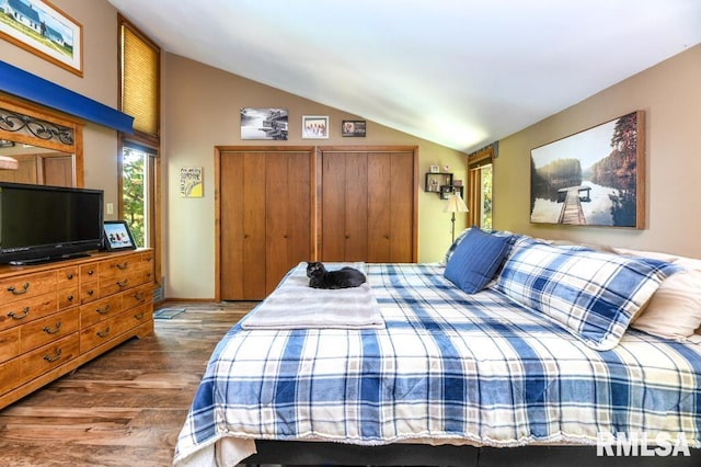 bedroom with dark hardwood / wood-style flooring and vaulted ceiling