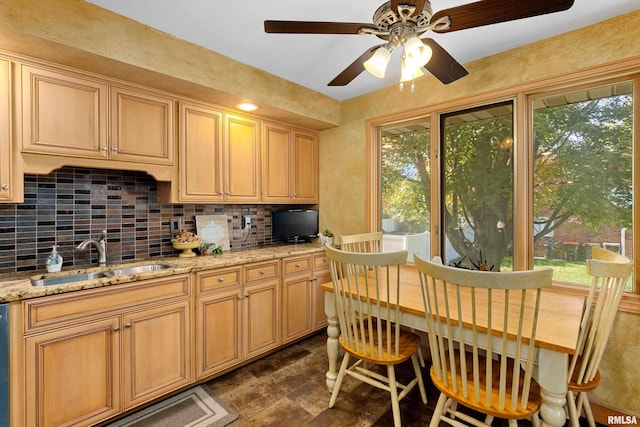 kitchen featuring light stone countertops, light brown cabinets, sink, and a wealth of natural light