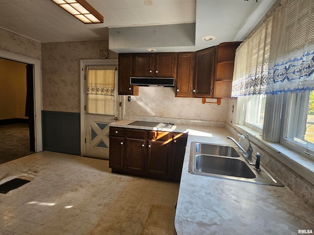 kitchen featuring dark brown cabinets, black stovetop, sink, and range hood