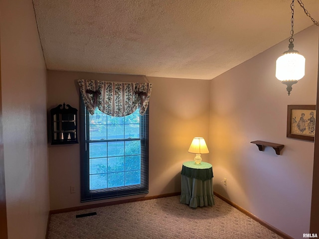 interior space featuring lofted ceiling, carpet floors, and a textured ceiling