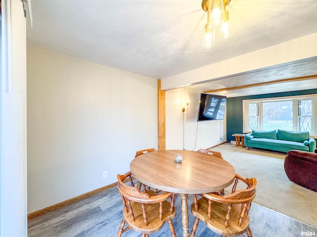 dining room with hardwood / wood-style flooring