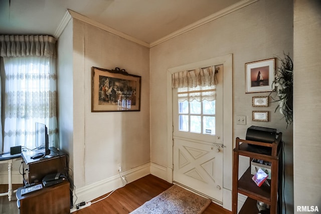 doorway featuring ornamental molding, dark wood-type flooring, and plenty of natural light