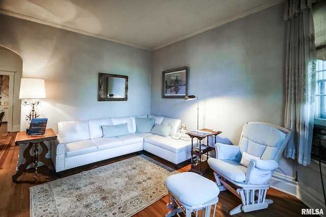 living room with crown molding and wood-type flooring