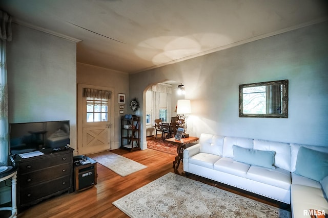 living room with crown molding, hardwood / wood-style flooring, and radiator heating unit