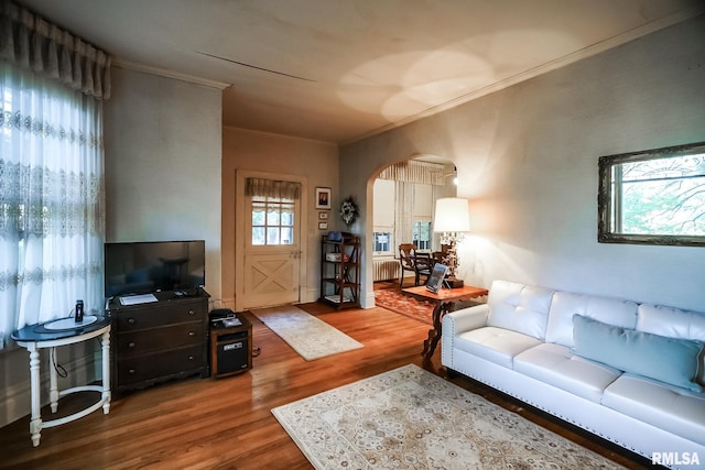 living room featuring ornamental molding, hardwood / wood-style flooring, and radiator