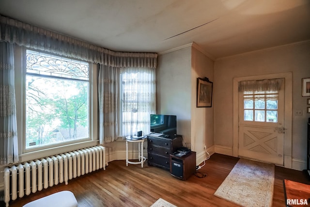 entrance foyer featuring radiator heating unit, wood-type flooring, and plenty of natural light