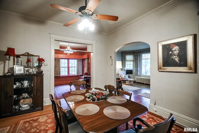 dining space with radiator, wood-type flooring, and a wealth of natural light