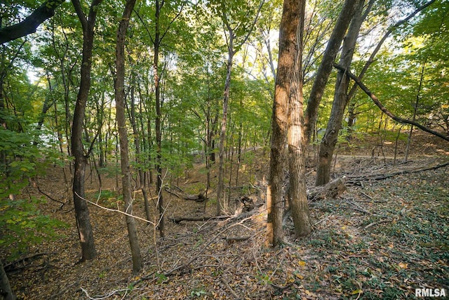 view of landscape