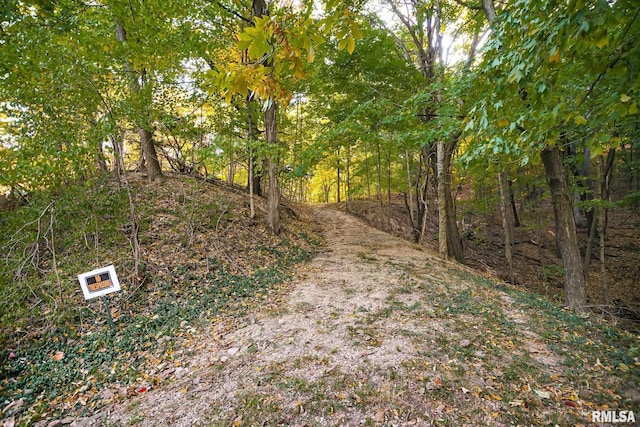 view of local wilderness