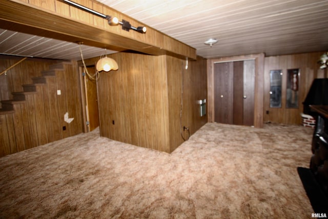 basement with wood walls