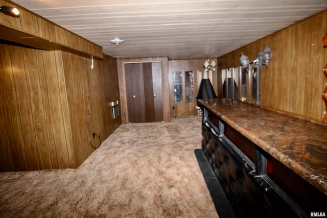 interior space featuring wood walls and carpet floors