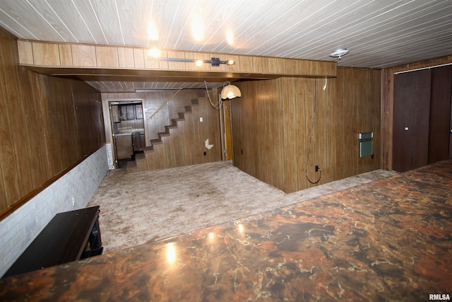 basement featuring wood walls, wooden ceiling, and carpet floors