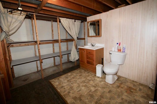 basement with sink