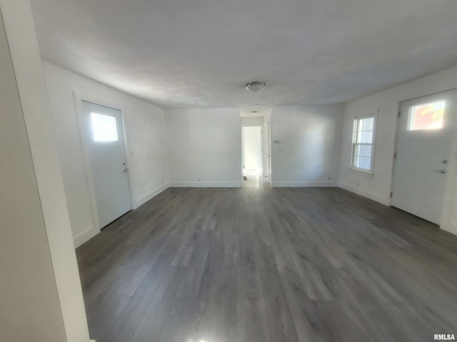 entryway featuring dark hardwood / wood-style flooring and a wealth of natural light