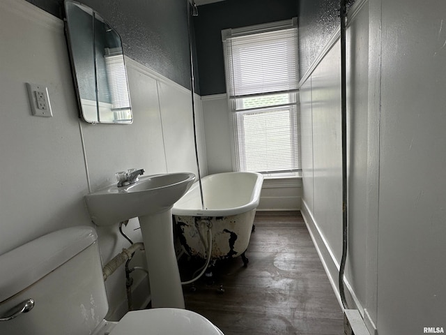 bathroom featuring a bathtub, toilet, and wood-type flooring