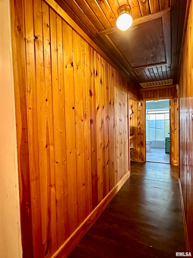 hall with dark wood-type flooring, wood ceiling, and wood walls