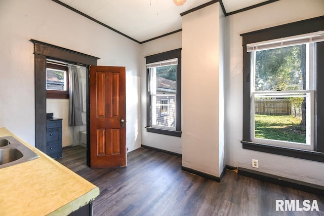 kitchen with lofted ceiling, ornamental molding, dark hardwood / wood-style flooring, and plenty of natural light