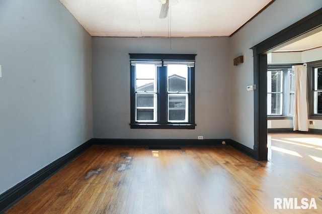 empty room with hardwood / wood-style flooring and ceiling fan