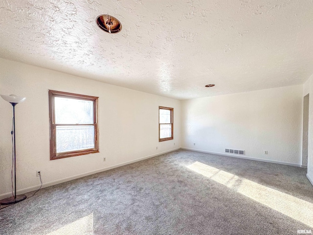 carpeted empty room featuring a wealth of natural light and a textured ceiling