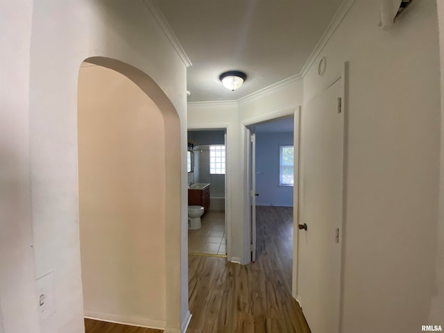 hallway with ornamental molding and wood-type flooring