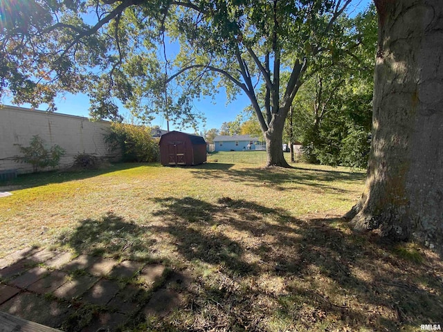 view of yard with a shed