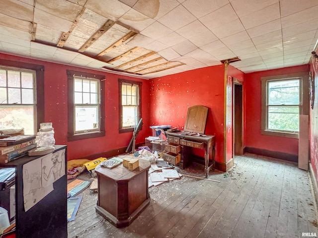 miscellaneous room with wood-type flooring and a healthy amount of sunlight