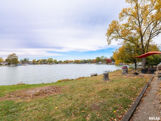 property view of water