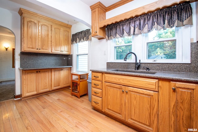 kitchen featuring light hardwood / wood-style floors, a healthy amount of sunlight, sink, and backsplash