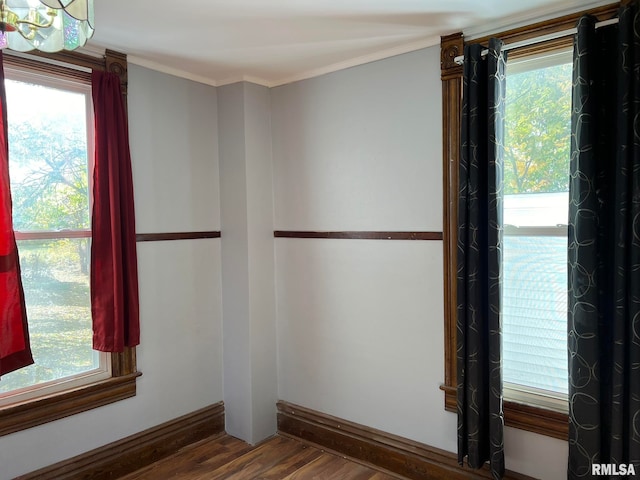 interior details featuring hardwood / wood-style flooring and ornamental molding