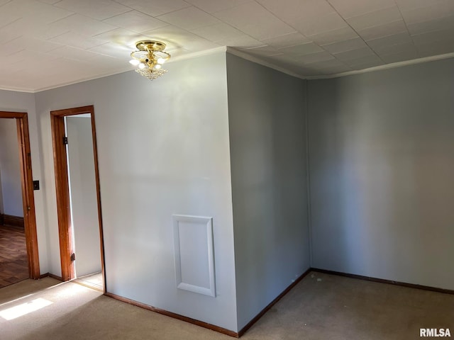 spare room featuring crown molding