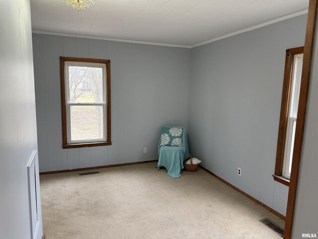 carpeted spare room featuring ornamental molding