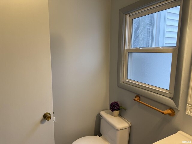 corridor with crown molding and light colored carpet