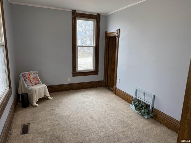 unfurnished room with carpet