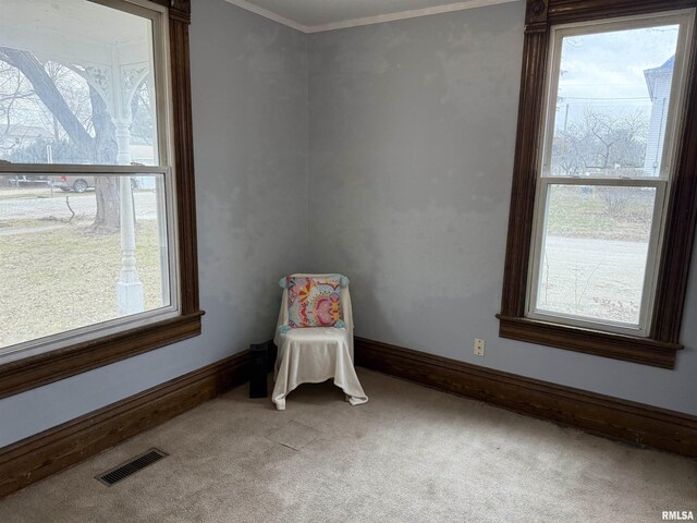 spacious closet with carpet flooring