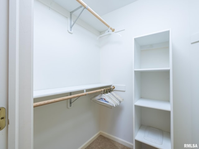 spacious closet with carpet