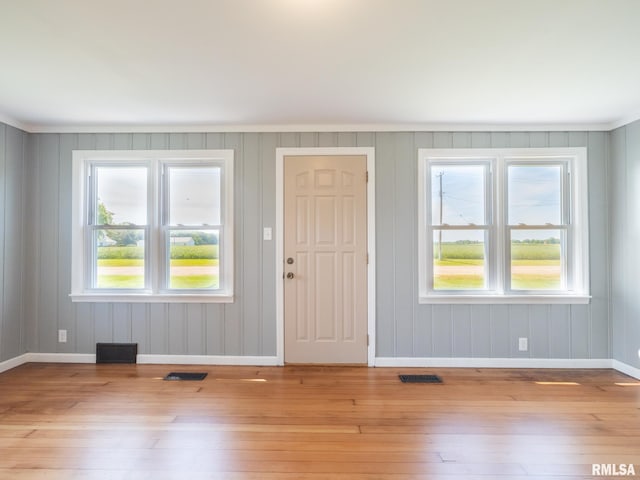 entryway featuring plenty of natural light and light wood-type flooring