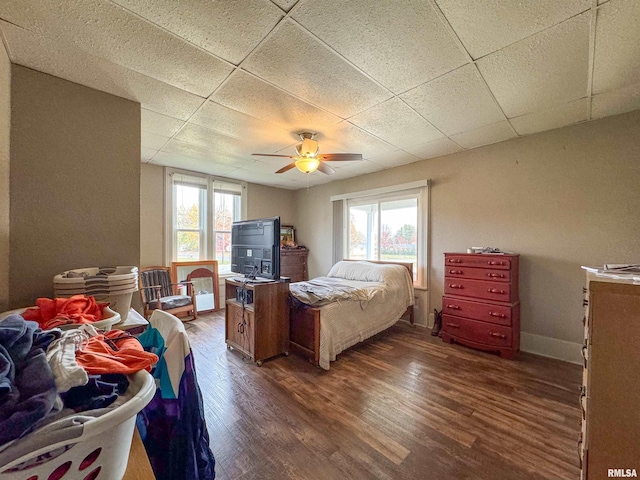 bedroom with a drop ceiling, dark hardwood / wood-style floors, and ceiling fan