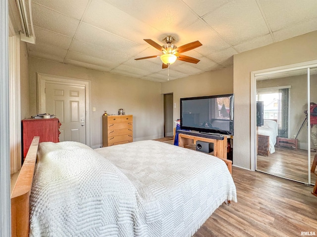 bedroom with a drop ceiling, wood-type flooring, a closet, and ceiling fan