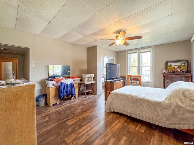 bedroom featuring dark hardwood / wood-style flooring, a paneled ceiling, and ceiling fan