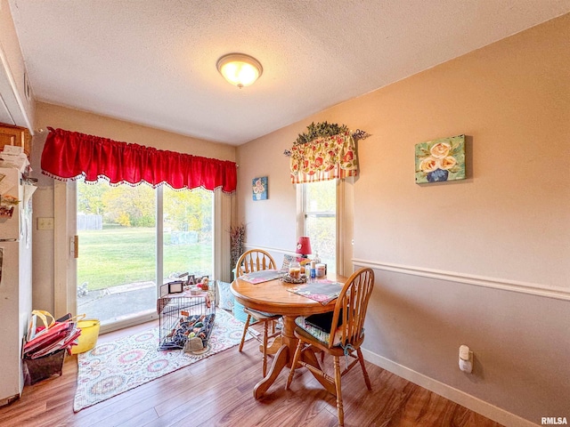 dining room with plenty of natural light, a textured ceiling, and hardwood / wood-style flooring