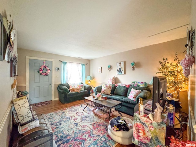 living room with wood-type flooring