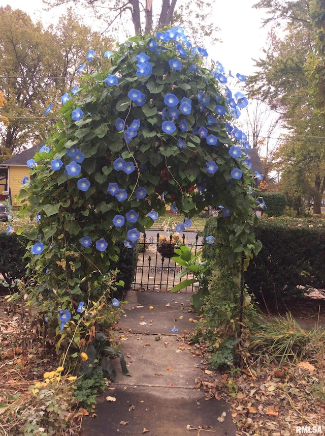 view of gate