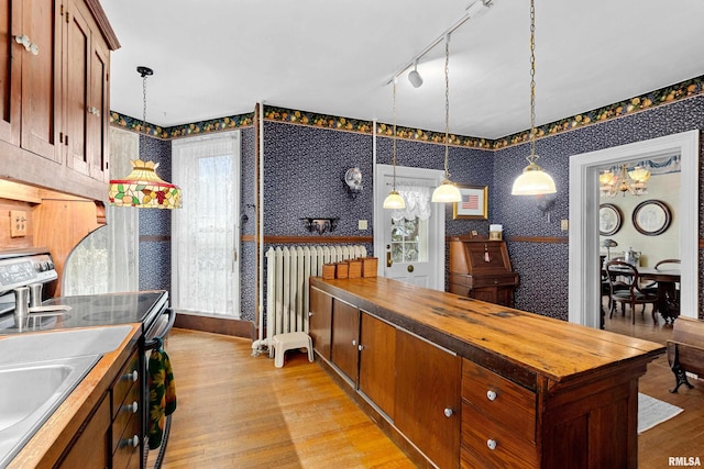 kitchen featuring light hardwood / wood-style floors, stove, and butcher block counters