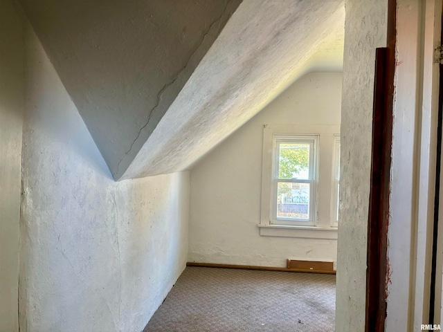 additional living space featuring carpet floors and vaulted ceiling