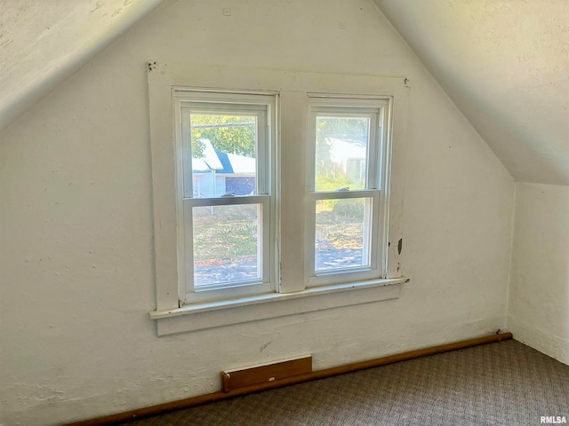 bonus room with lofted ceiling