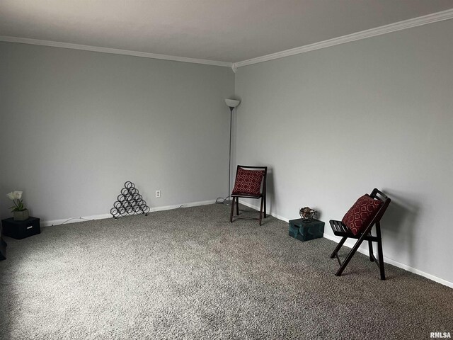 spare room with carpet and a textured ceiling