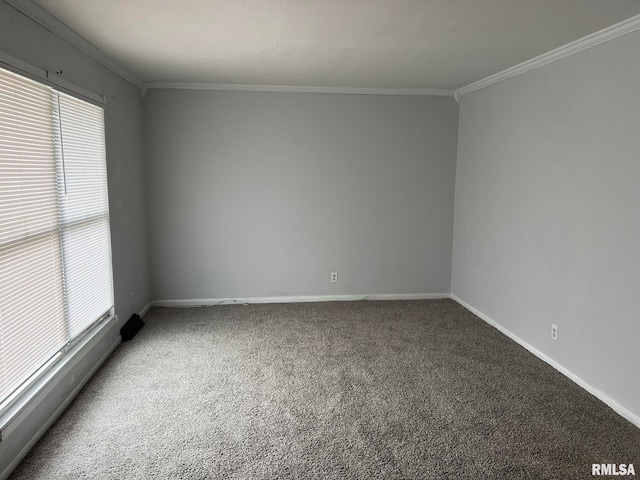 unfurnished room with ornamental molding and carpet floors